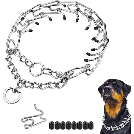 pinch collar amazon
