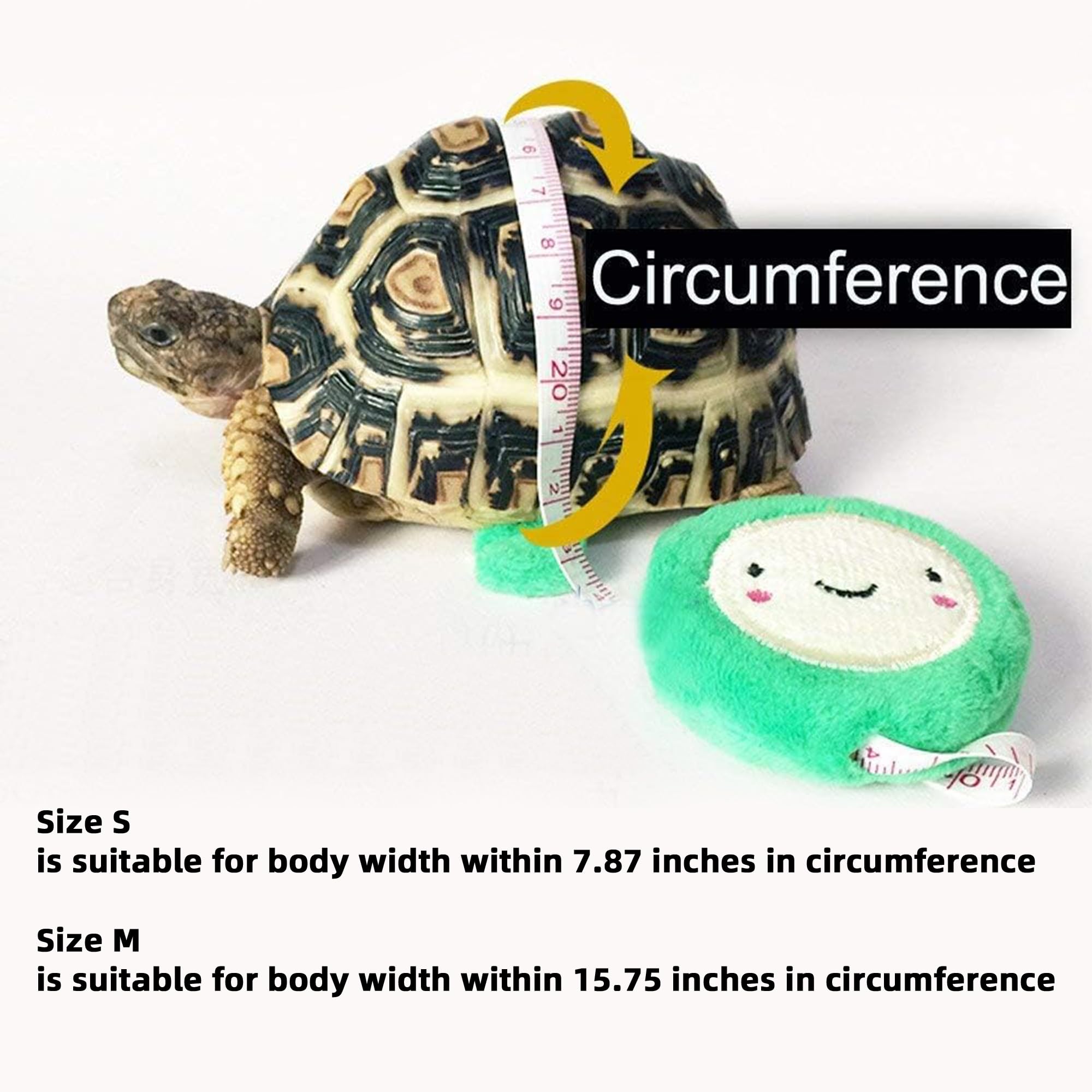 Harnais en Cuir pour Petite Tortue avec Laisse Réglable Noir M