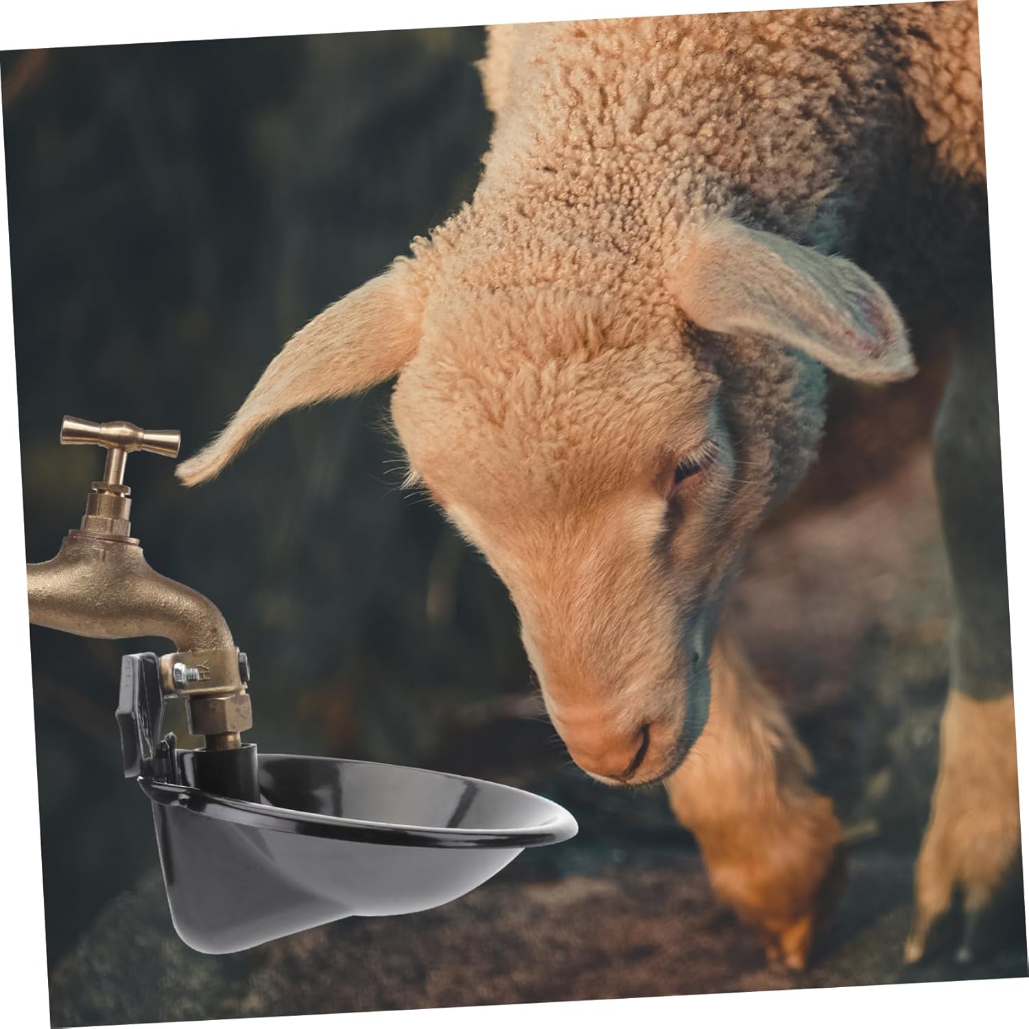 Happyyami Sheep Automatic Drinking Water Bowl Metal Feeder Water Feeder Black Plate Bowl Pet Cattle Trough