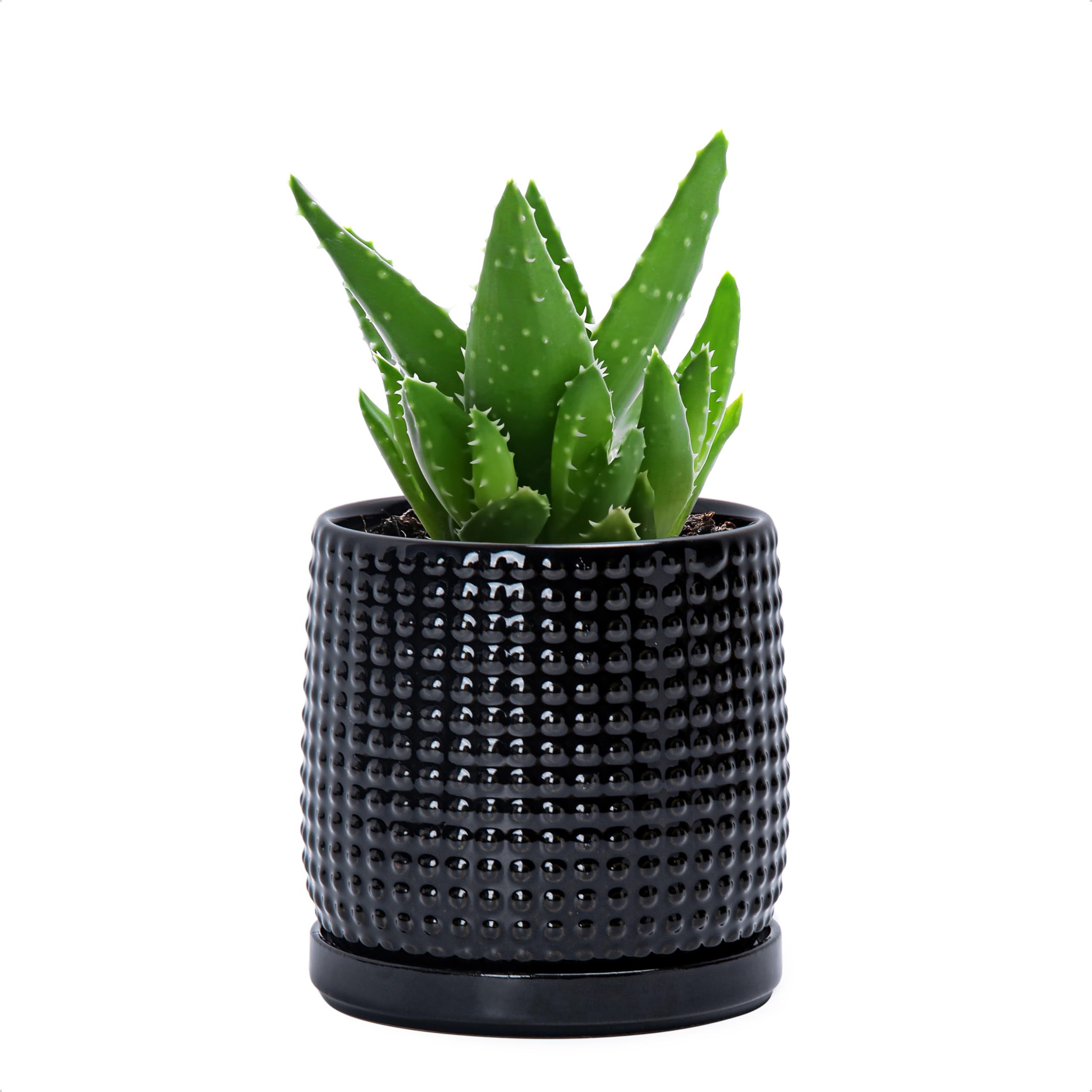 Amazon.com : D'vine Dev Beaded Ceramic Pot with Saucer, 4 in