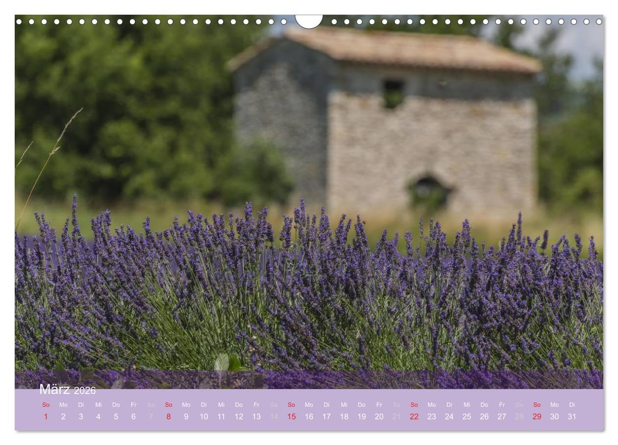 Die Farbe des Lavendels (Wandkalender 2026 DIN A3 quer), CALVENDO Monatskalender: Lavendel der Provence (CALVENDO Natur)