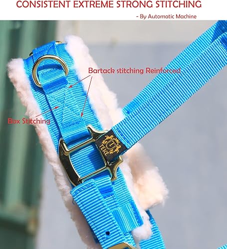 Miniatura 4 de T TEKE Lunge Cavesson con banda de nariz y corona con forro polar