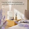 Humidificador LEVOIT para dormitorio - silencioso (tanque 3L) - niebla fría/llenado superior/difusor de aceites esenciales/25W - hogar/habitación grande - boquilla 360° - humidificación ultrasónica rápida para cuarto de bebé/plantas 3