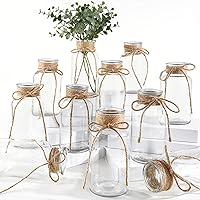 ASHELYULLA Vintage Clear Glass Vases Set of 12 - Farmhouse Wedding Centerpieces, Cylinder Flower Vases with Hemp Rope for Home Decor
