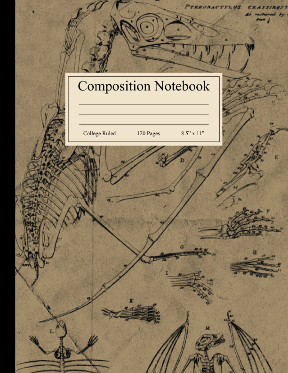 Composition Notebook: Vintage Paleontology Science Archaeology Illustration, Dinosaur Lined Journal, College Ruled, 120 Pages, 8.5" x 11"