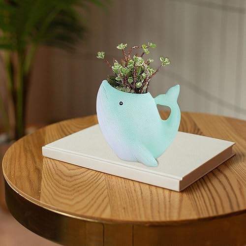 Miniatura 8 de Maceta de ballena  Bonita maceta de cerámica para suculentas de ballena de dibujos animados  Maceta de aire para plantas, caja de ventana,