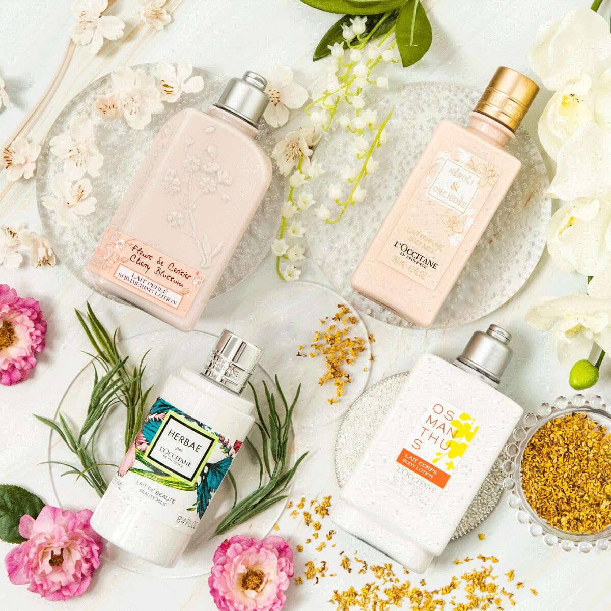 L'OCCITANE Osmanthus Body Lotion 8.40 fl oz - Image 5