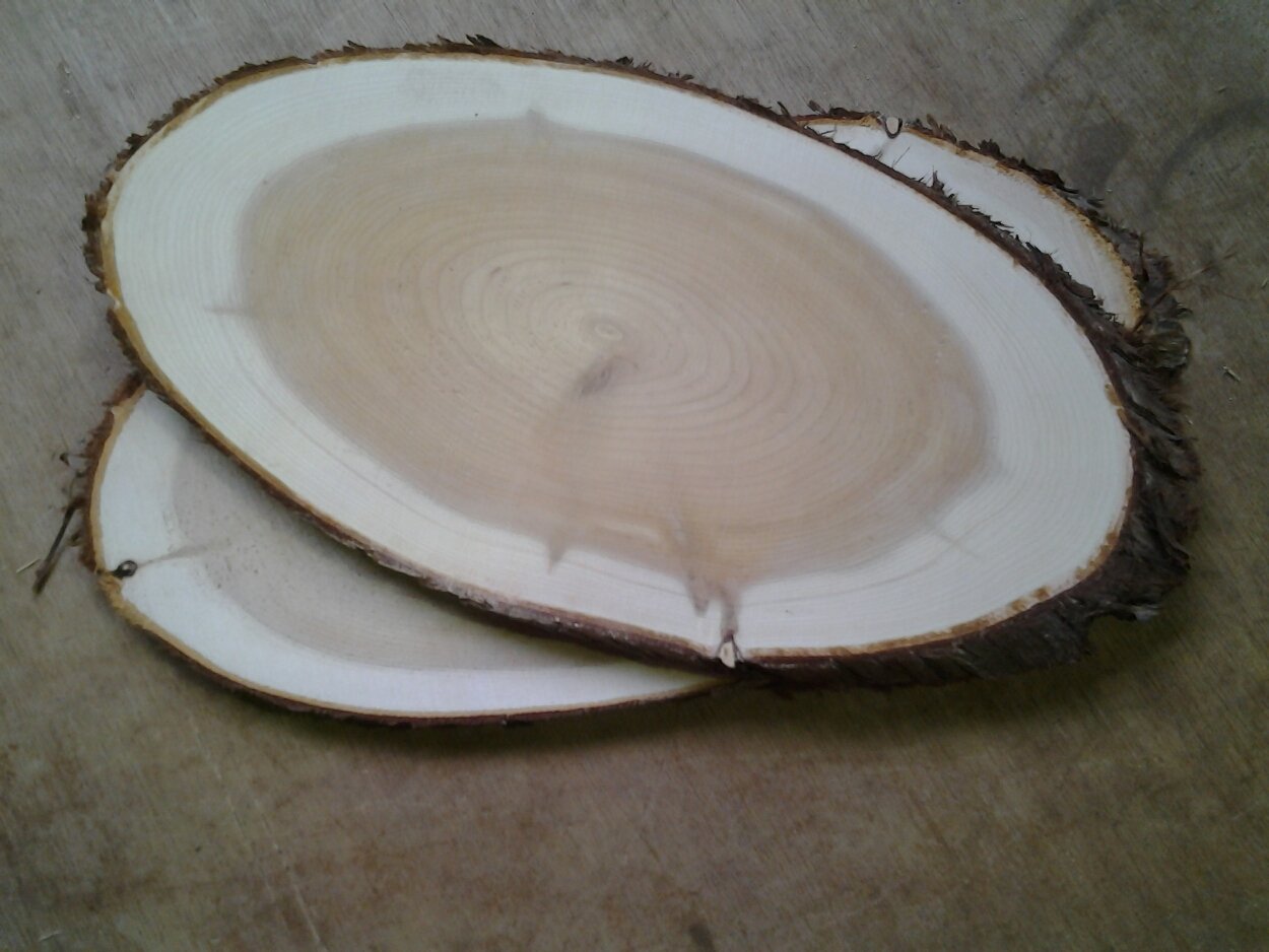 Maine Grilling Woods Eastern White Cedar Ovals 2 Pack