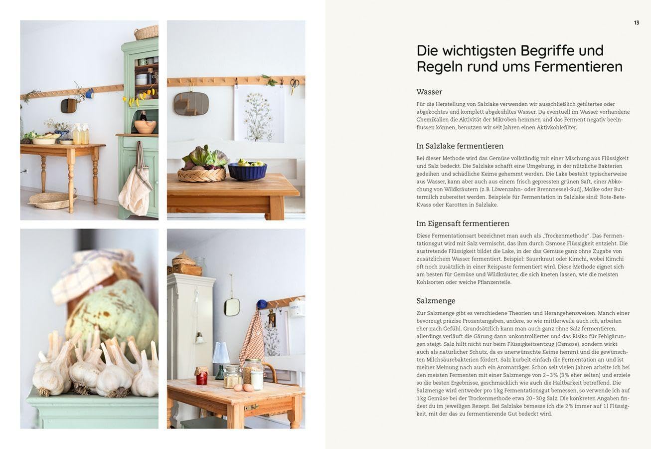 Die Kunst der wilden Fermentation: Techniken, Rezepte, Inspiration