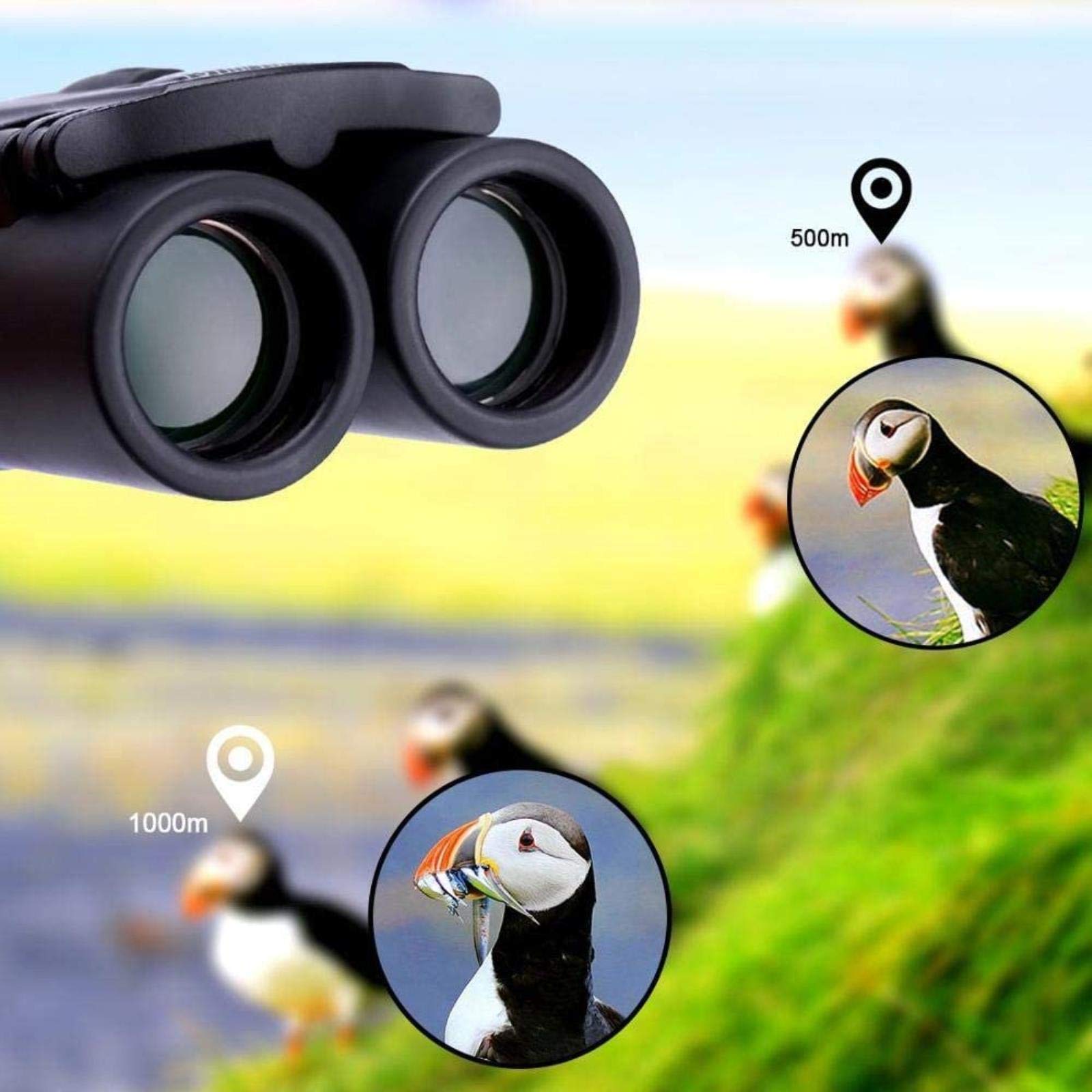 Telescopio Binoculares Alta Potencia Binoculares 8X21 HD Bak4 Prisma Telescopio Zoom la Copa del Mundo Observación Aves al Aire Libre Camping Senderismo Viajes Deportes Interiores/Exteriores