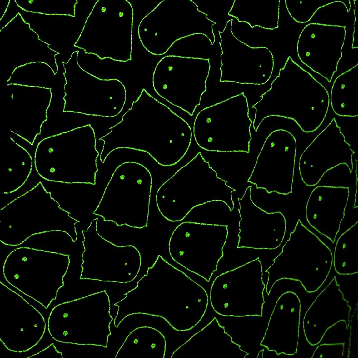 Lässig Car Wrap-to-Go Spooky Black