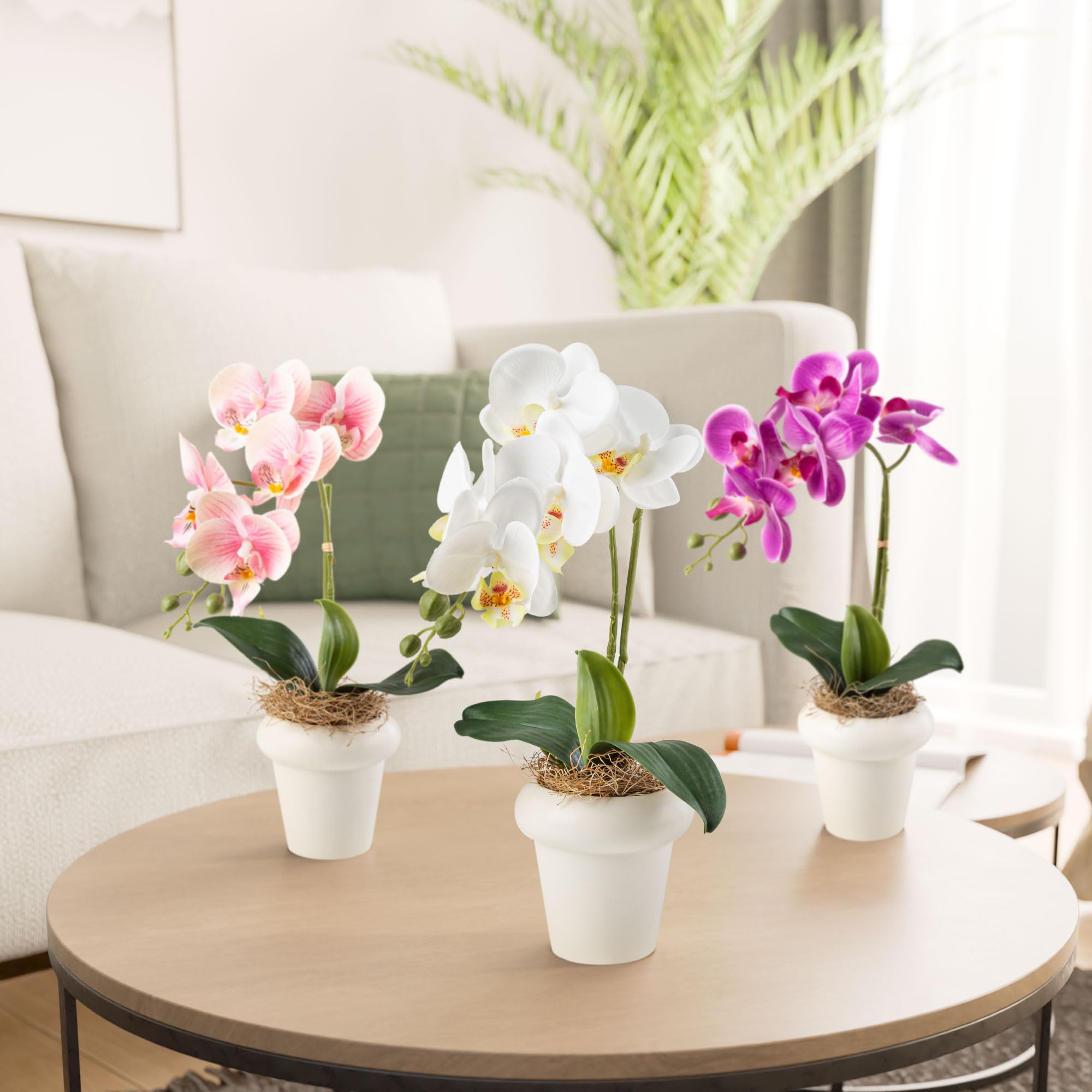 PASCH Orchidées artificielles dans des pots en céramique brillante (36 cm) | Fleurs artificielles en pot | Fleurs artificielles comme de vraies orchidées artificielles en pot (lot de 3)
