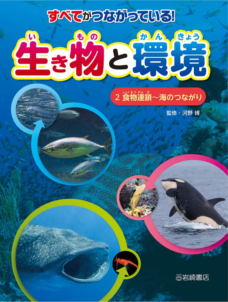 すべてがつながっている! 生き物と環境 (2) 食物連鎖~海のつながり