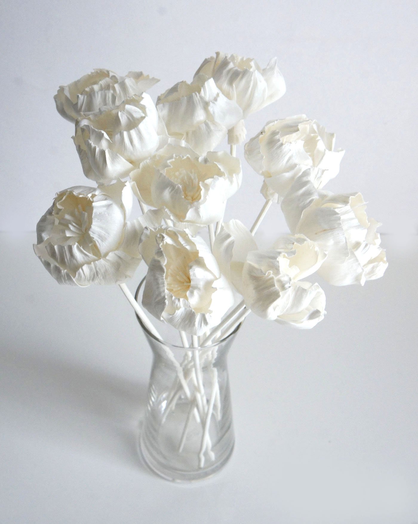 Exotic Plawanature Set of 10 White Peony Sola Wood Flower with Reed Diffuser for Home Fragrance.