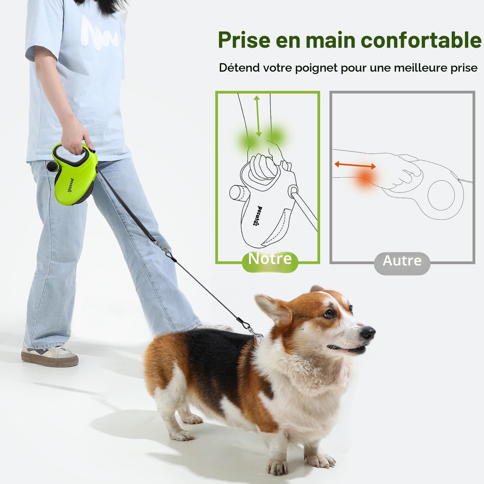 Pecute Laisse Chien Enrouleur 10m (Jusqu'à 30Kg), Laisse rétractable pour Chien à l'épreuve des mâchonnements, avec Un Bouton S'arrêter Bloquer, pour Petit, Moyen Chiens