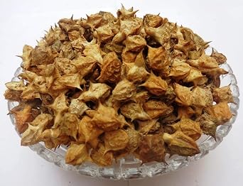 Admart GOKHRU BADA- 200 Gms PEDALIUM MUREX LARGE CALTROPS bada gokhru