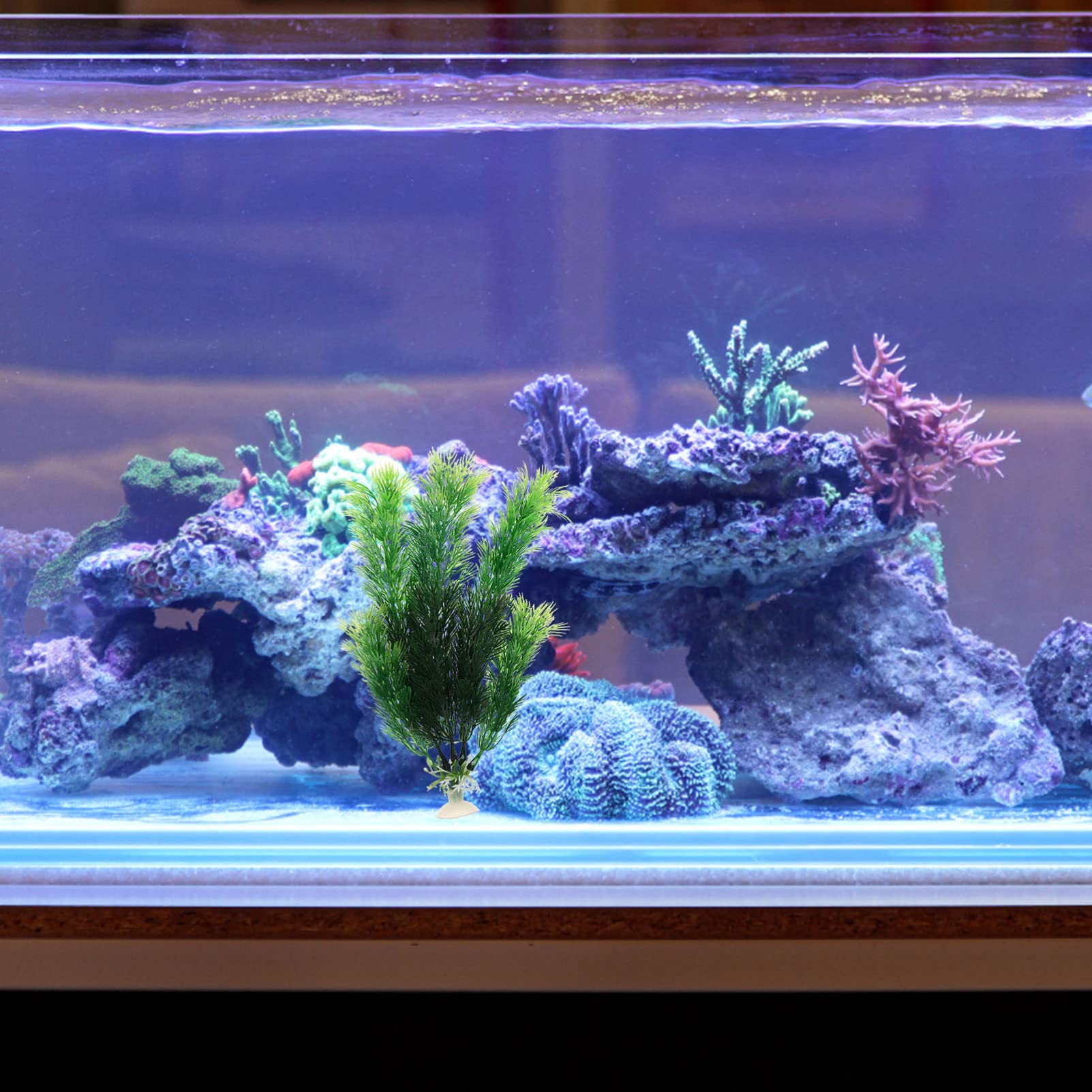 Sosoport 5 Juegos Pecera Paisajismo Agua Plantas Artificial Plants Aqua Plant Titular De La Planta del Acuario Decoración Al Aire Falso Decoración Decorativa del Acuario 6 Piezas * 5