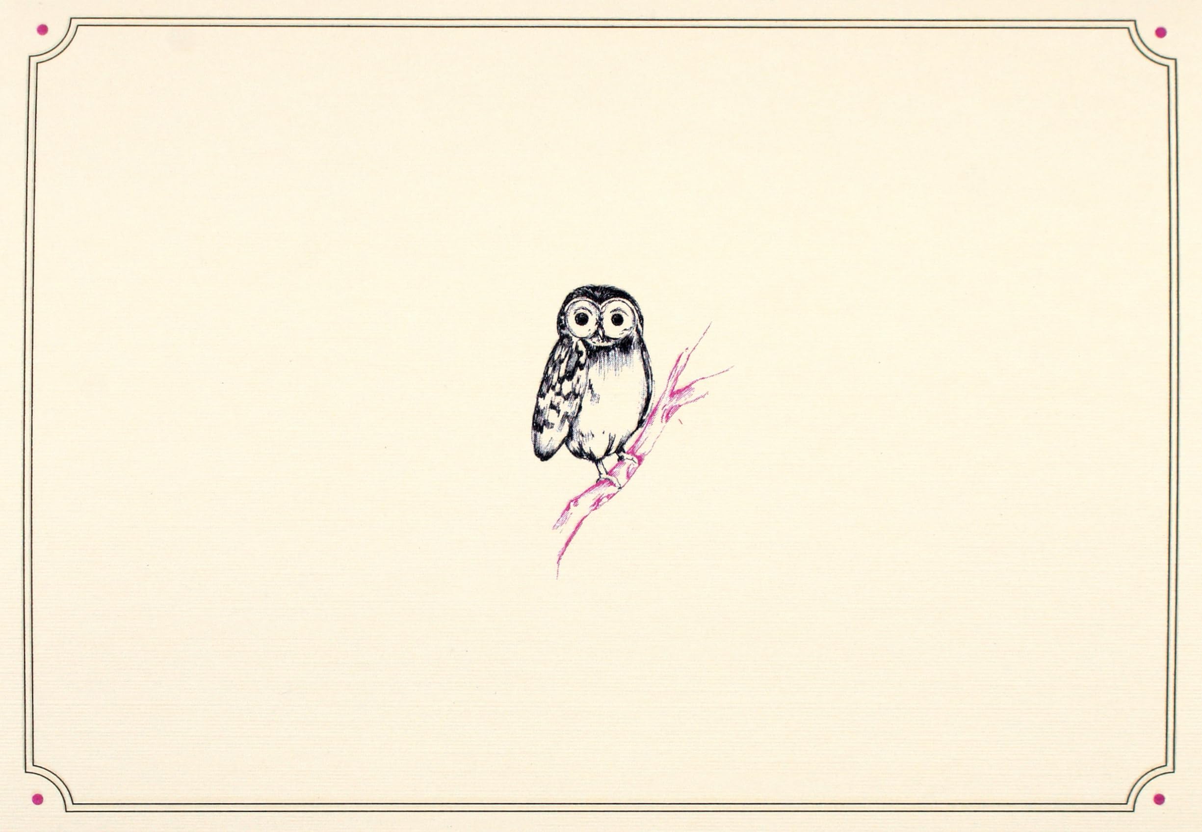 Owl Portrait Note Cards (Stationery, Boxed Cards)