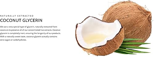 Miniatura 5 de Extracto de raíz de ginseng siberiano, ingredientes orgánicos y sin alcohol, 2 onzas, agua mineral fúlvica fría patentada, extraída, adaptógeno,