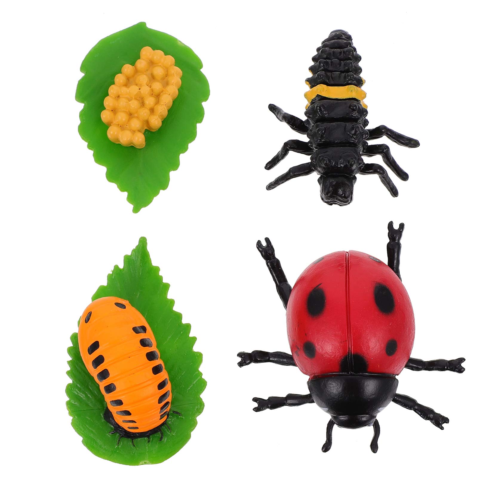 Yardwe 4pcs Life Cycle Figures of Ladybug Plastic Safariology Growth Cycle Figures Toy Kit School Project Cake Topper for Kids Toddlers