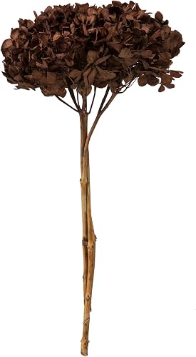 Vickerman Hydrangea Stem - Thumbnail 3