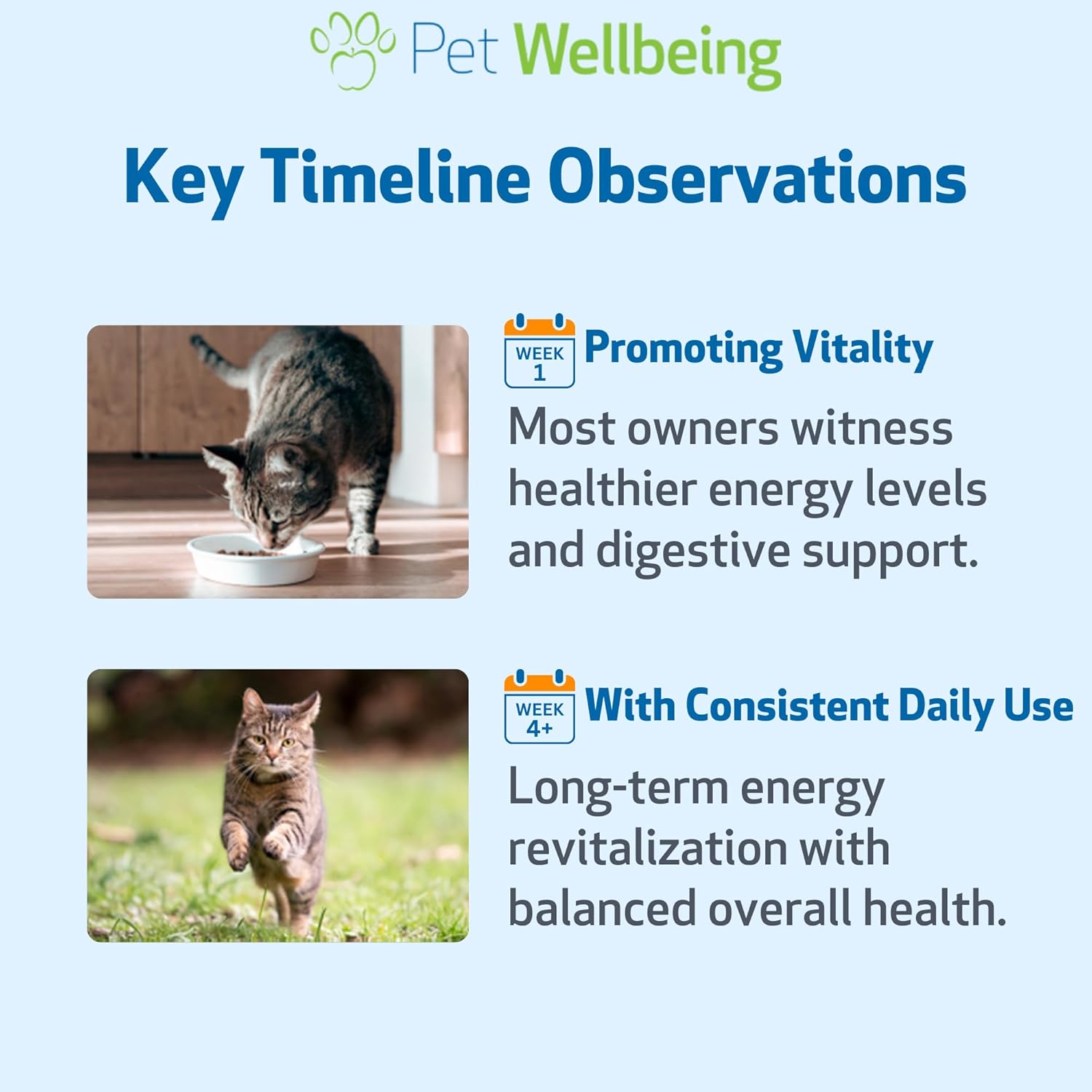 Pet Wellbeing Dandelion Root for Cats - Liver & Heart Health, Digestive Function, Blood Sugar Support, Certified Organic - Veterinarian-Formulated Herbal Supplement 2 oz (59 ml)