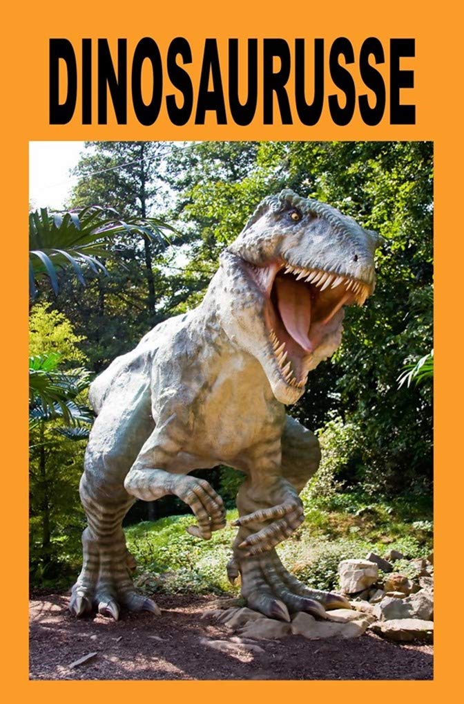 Dinosaurusse (Afrikaanse kinderboeke Book 22) (Afrikaans Edition)      Kindle Edition