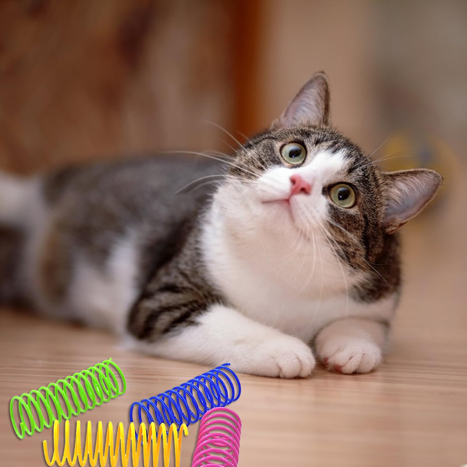 Katzenspielzeug Federkegel 40 Stück , Bunte Spiral Produktbild-Vorschau 9