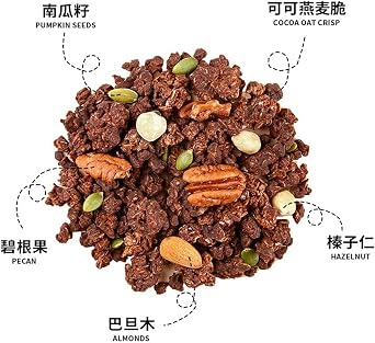 Hazelnut Dark Chocolate Baked Oatmeal 100g/bag Instant Crisps(3pcs)