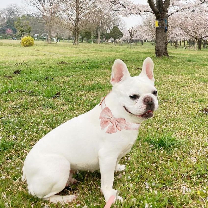 Petiry Tartan Dog Collar with Detachable Sailor Bowtie,Soft Dog Plaid Collars Medium For Female Dogs Neck 31-49cm,Plaid Pink - Image 2