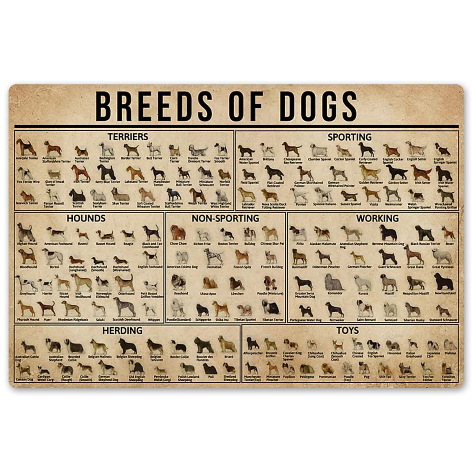 peiyeety Breeds Of Dogs Metal Tin Signs Retro Art Wall Iron Poster Dogs Infographic Plaques Signs Home Farm Classroom Knowledge Decor 12x18 Inch