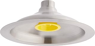 Speakman SE-830 Lifesaver 10 in. Safety Shower Head, Stainless Steel