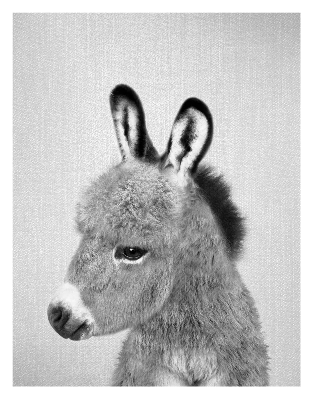 Tableau déco nature ours noir et blanc 50x70cm pour salon moderne