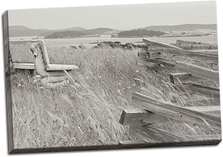 Gango Home Décor Grassy Knoll BW, Fine Art Photograph by: Dana Styber; One 36x24in Hand-Stretched Canvas