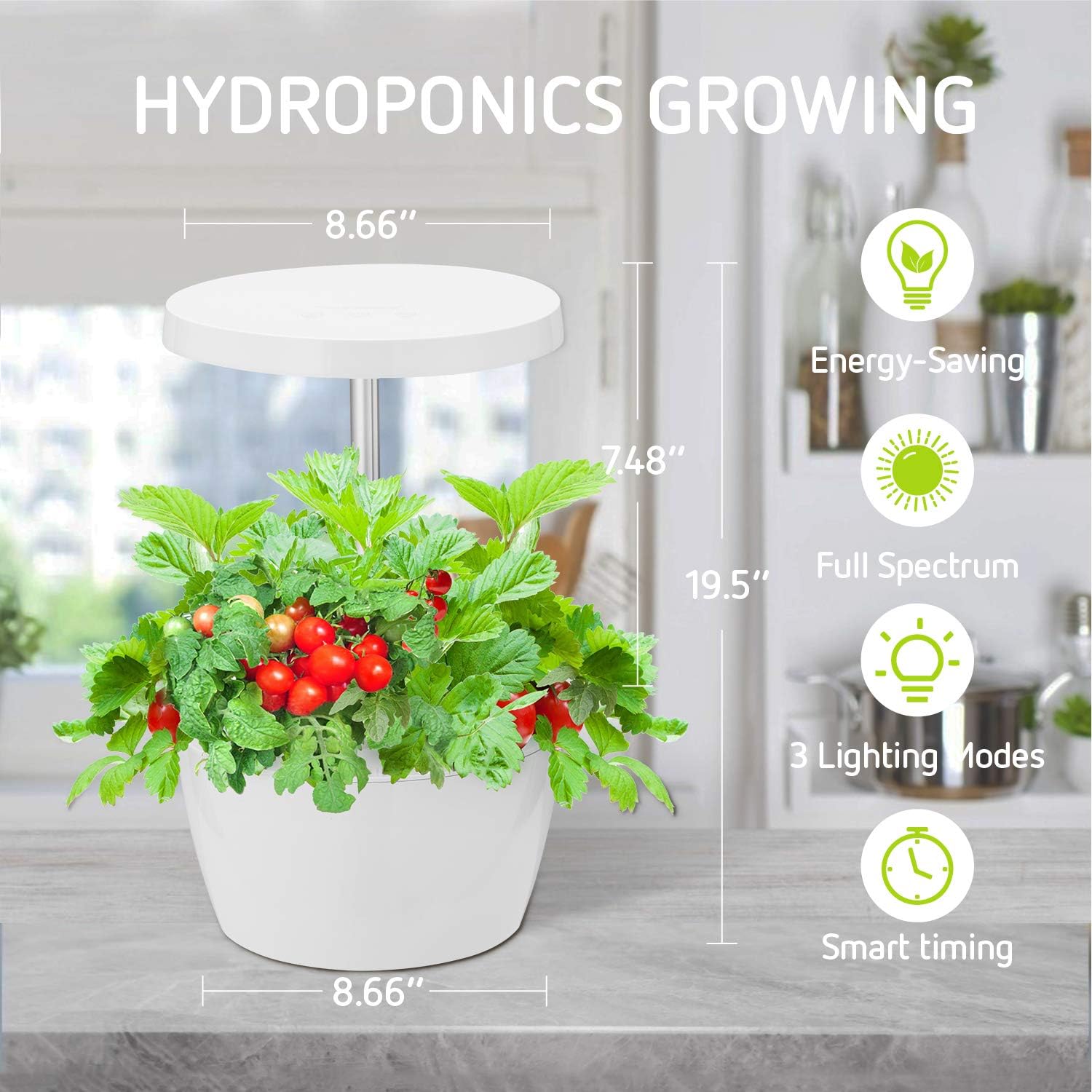 VIVOSUN Indoor Herb Garden Kit Hydroponics Growing System Hydroponics Growing Nutrient Pot Kit(Plant Food Included): Garden & Outdoor