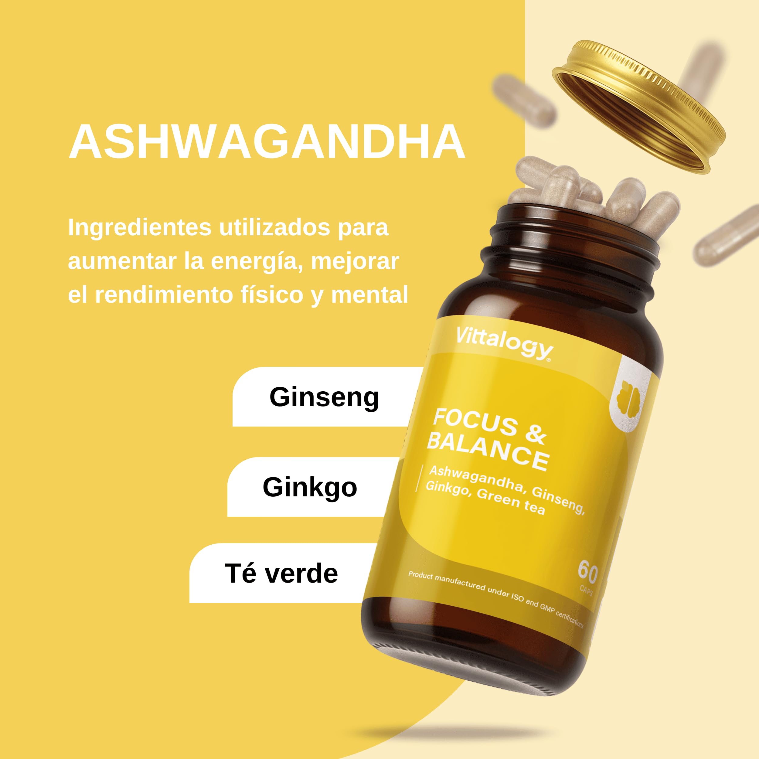 Focus & Balance Complemento Alimenticio Nootrópico con Ashwagandha Sensoril® para Memoria y Concentración. Suplemento de Té Verde, Ginseng y Vitaminas B3, B5 y B1 para Estudiar. 180 Cápsulas