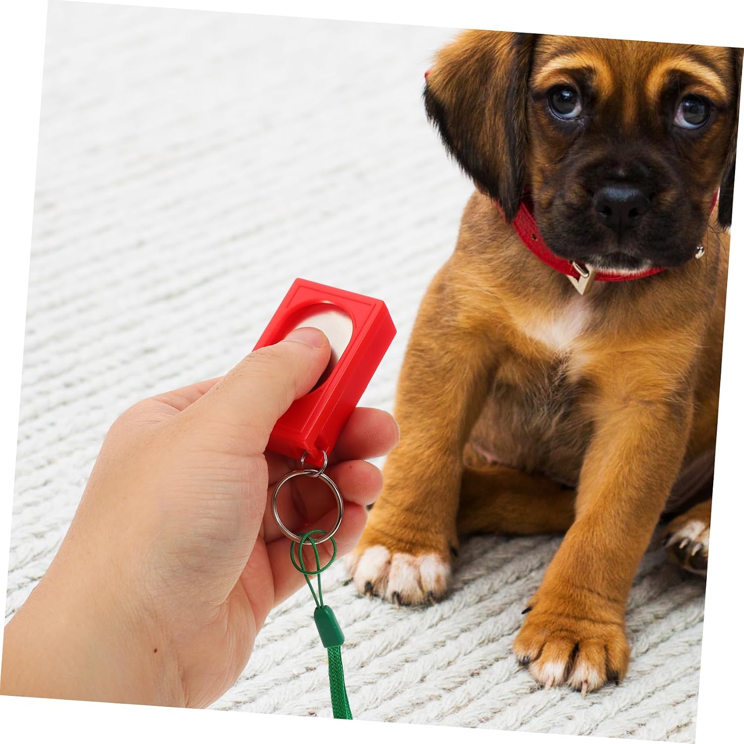 2pcs Pet Training Clickers Dog Potty Training Clicker Bell Safe Material for Puppies Cats Device