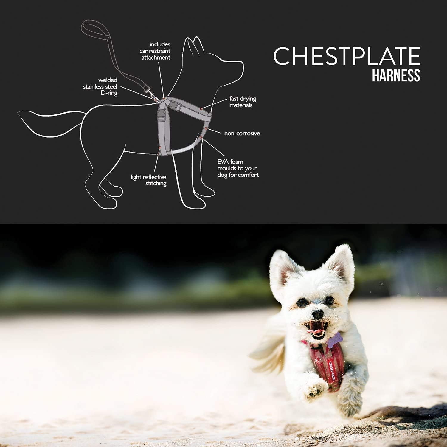 ezydog harness amazon