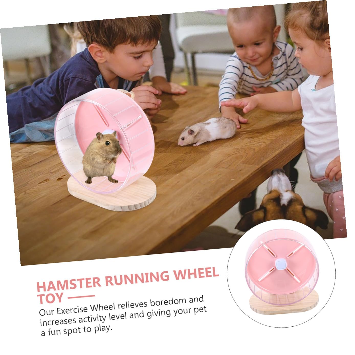 Happyyami Roue Silencieuse pour Hamster Stable Au Sol Compacte pour Rat Et Chinchilla pour Hérisson Cage