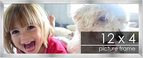 Miniatura 77 de Marco de 28 x 36 pulgadas de madera de peltre plateado con plexiglás acrílico UV, parte trasera de tablero de espuma y accesorios incluidos