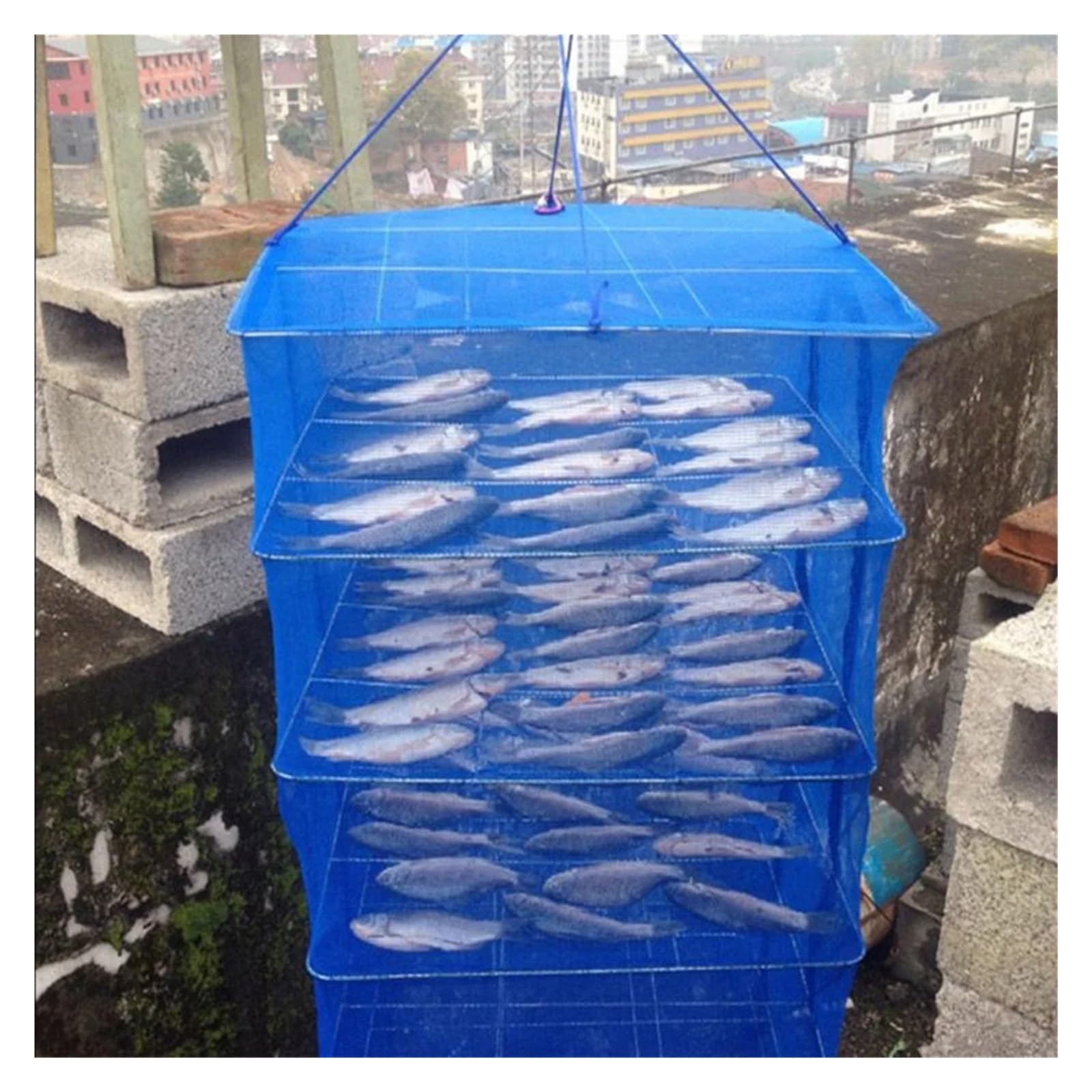 Rete essiccazione, griglia per pesce, verdura, frutta, carne, gabbia anti-mosca, ideale per uso domestico e all'aperto Rete per Essiccazione(35X35X35cm)