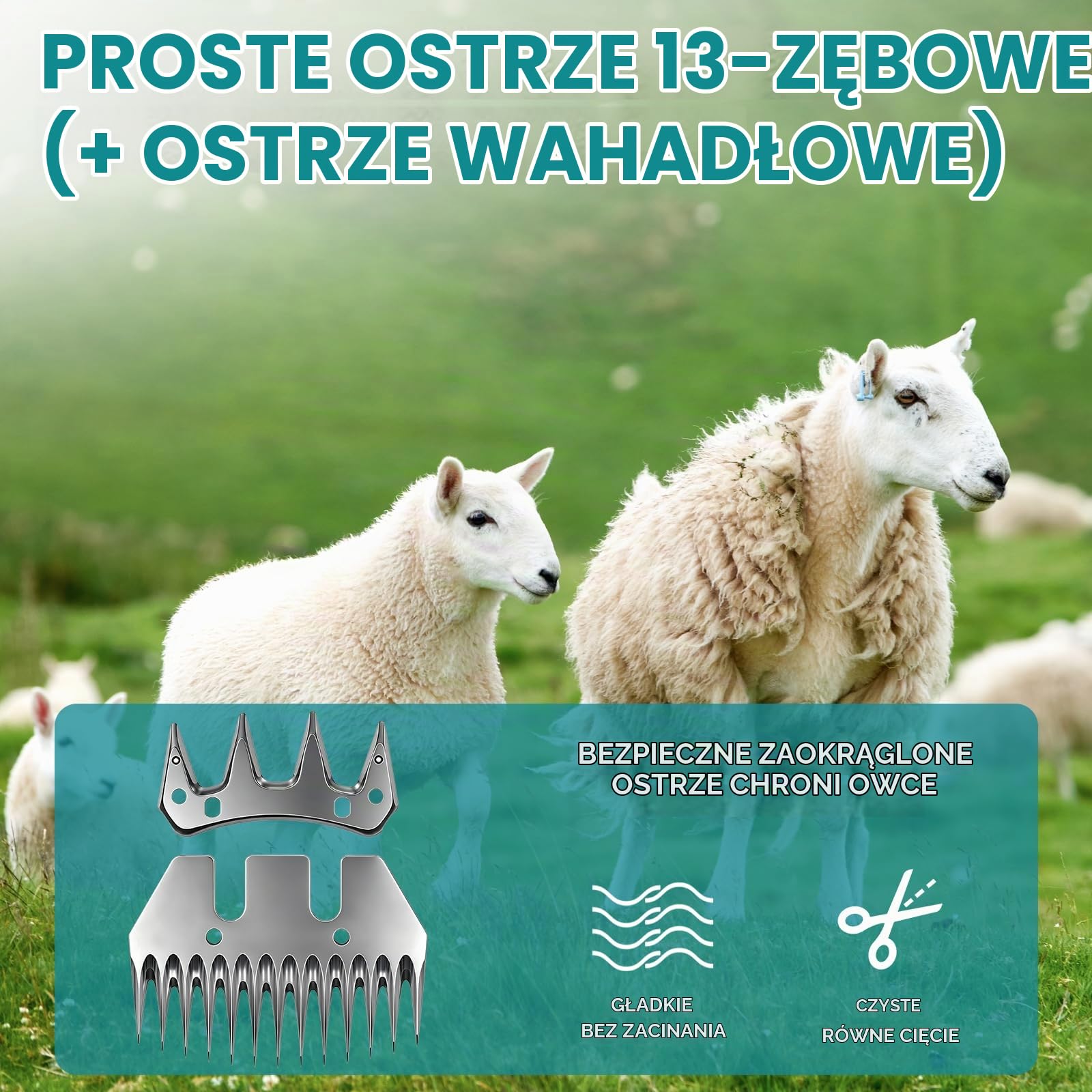 Elektryczna maszynka do strzyżenia owiec Yofidra 550 W – Bezprzewodowe urządzenie z 6-stopniową regulacją prędkości i 13-zębnym ostrzem; w zestawie 2 akumulatory 3,0 Ah