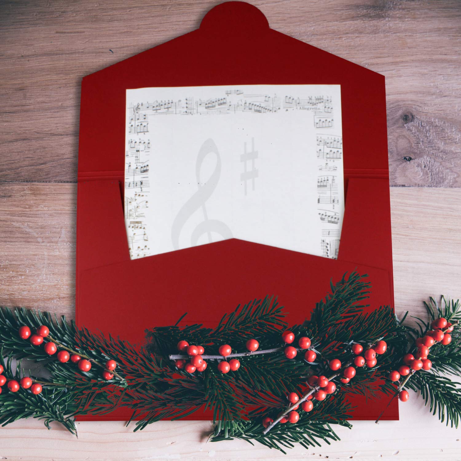 40 carpetas de papel estables para DIN A4 y DIN C4 en gris claro – 22 x 30,5 cm – 240 g/m² – adecuado como carpeta de presentación, carpeta de solicitudes y proyectos