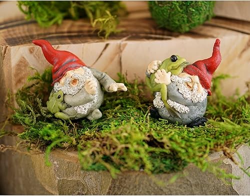 Miniatura 4 de Top Collection Figura miniatura para jardín de hadas y terrario, gnomo abrazando rana