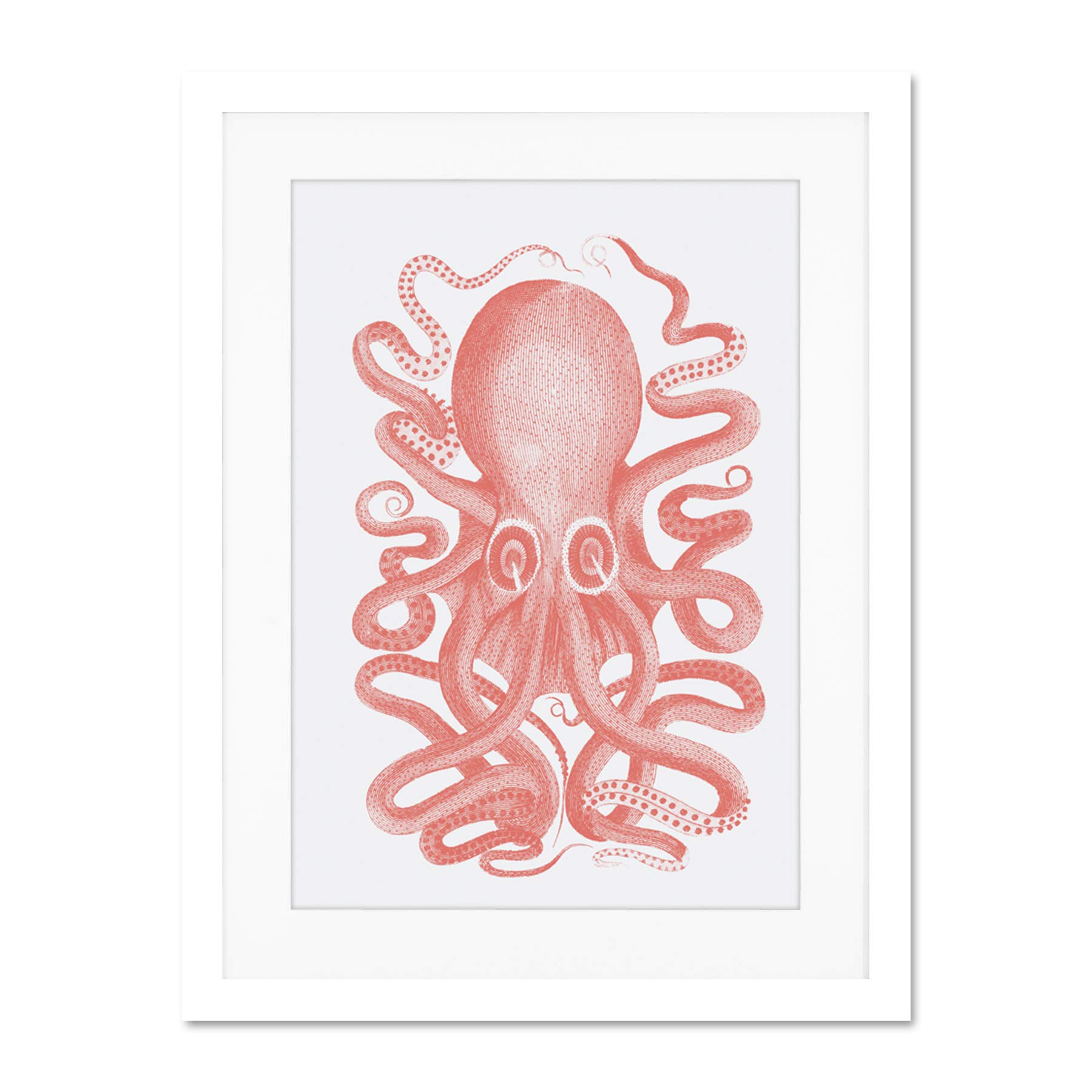 Wee Blue Coo Living Coral Octopus Large White Framed Art Print Wall Poster 18x24 inch