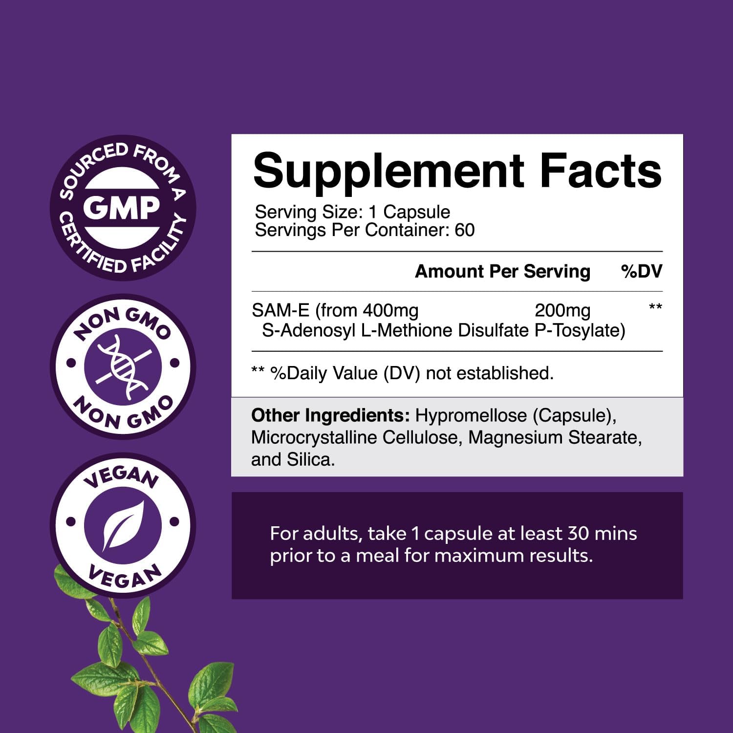 Bundle of Nootropic Brain Supplement - Mental Health & Clarity with VIT A B6 Riboflavin Niacin Thiamin Folate and Sam-E 200mg Mood Support Supplement - S-Adenosyl Methionine for Natural Relaxing Mood