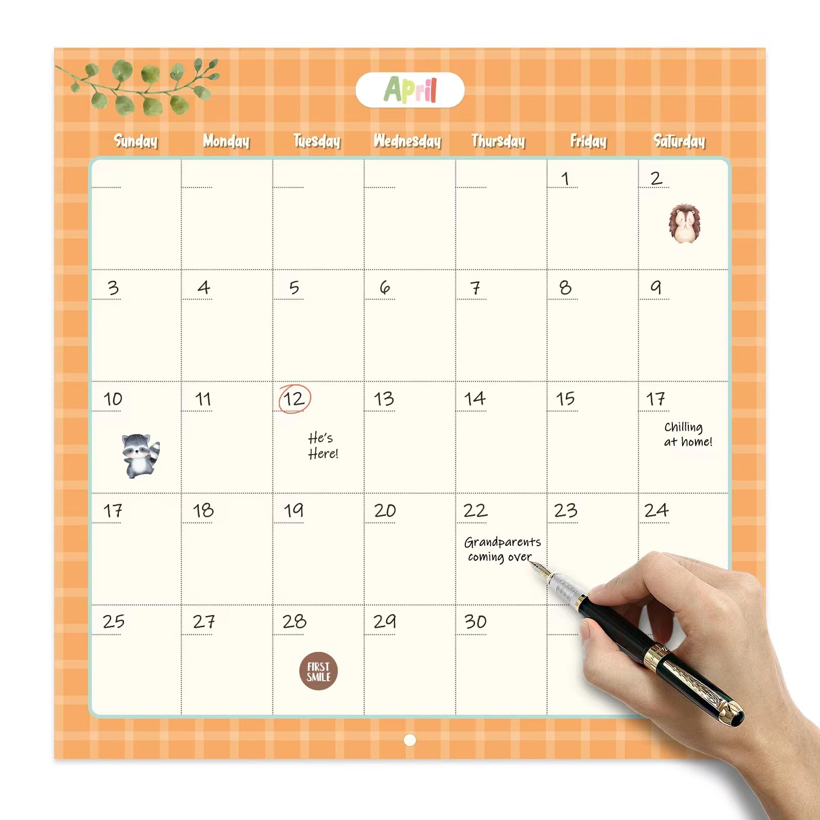 Calendario del primer año del bebé con calcomanías, rastreador de primer año y libro de recuerdos para niñas y niños, documenta y aprecia hitos con bolsillo y gancho adhesivo sin taladros