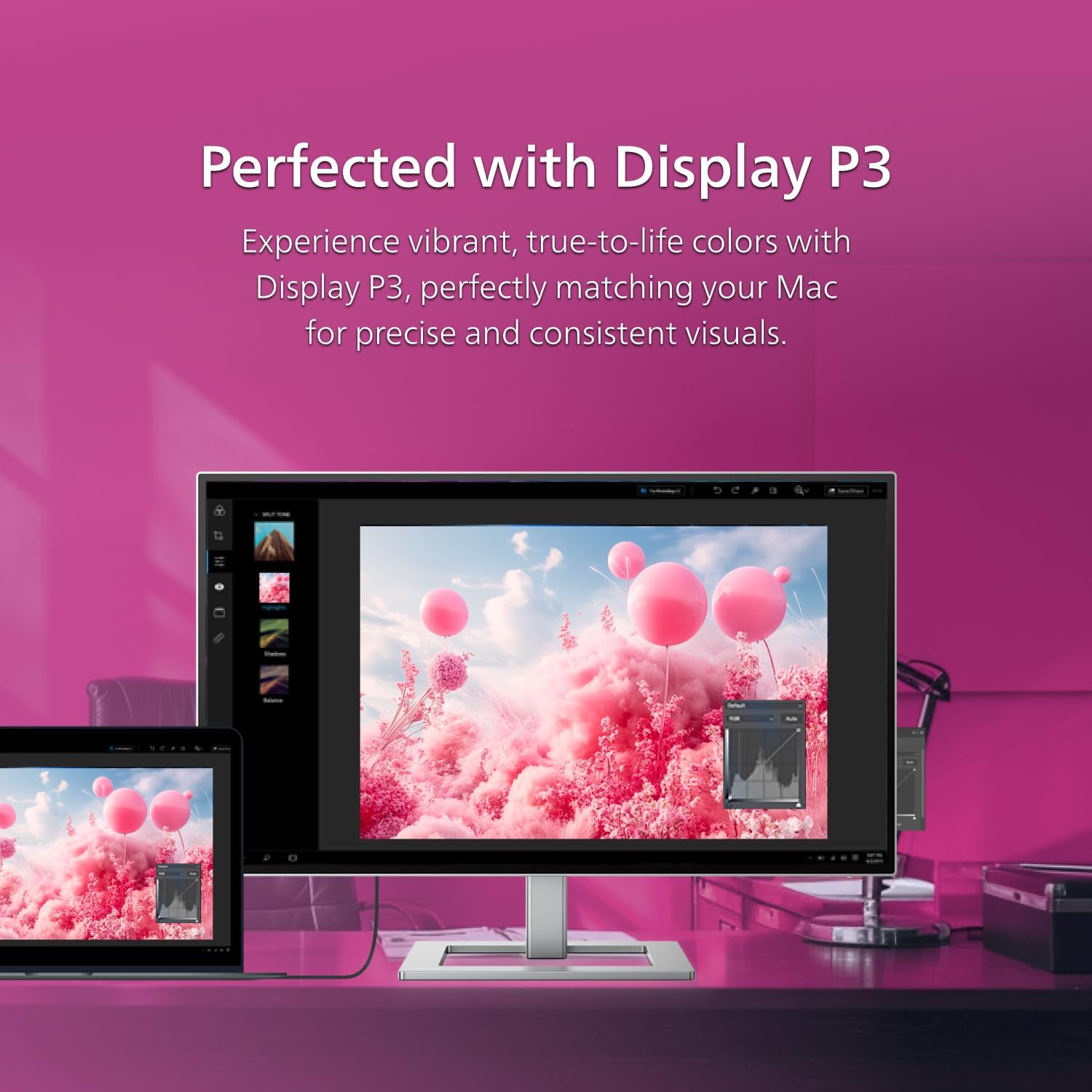 Philips Brilliance 27E2F7903 Display P3 Color Profile