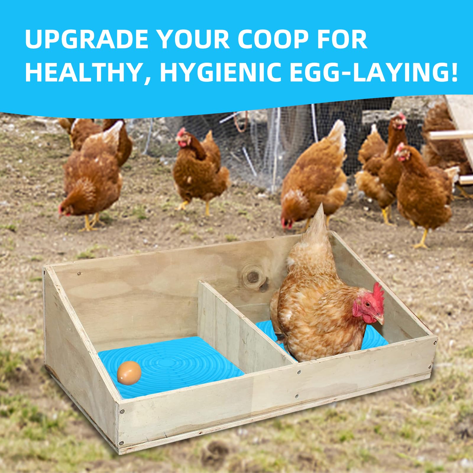 Tappetini Nido Per Polli Haishell - 4 Pezzi 30x35 Cm In Plastica Gialla, Facili Da Pulire