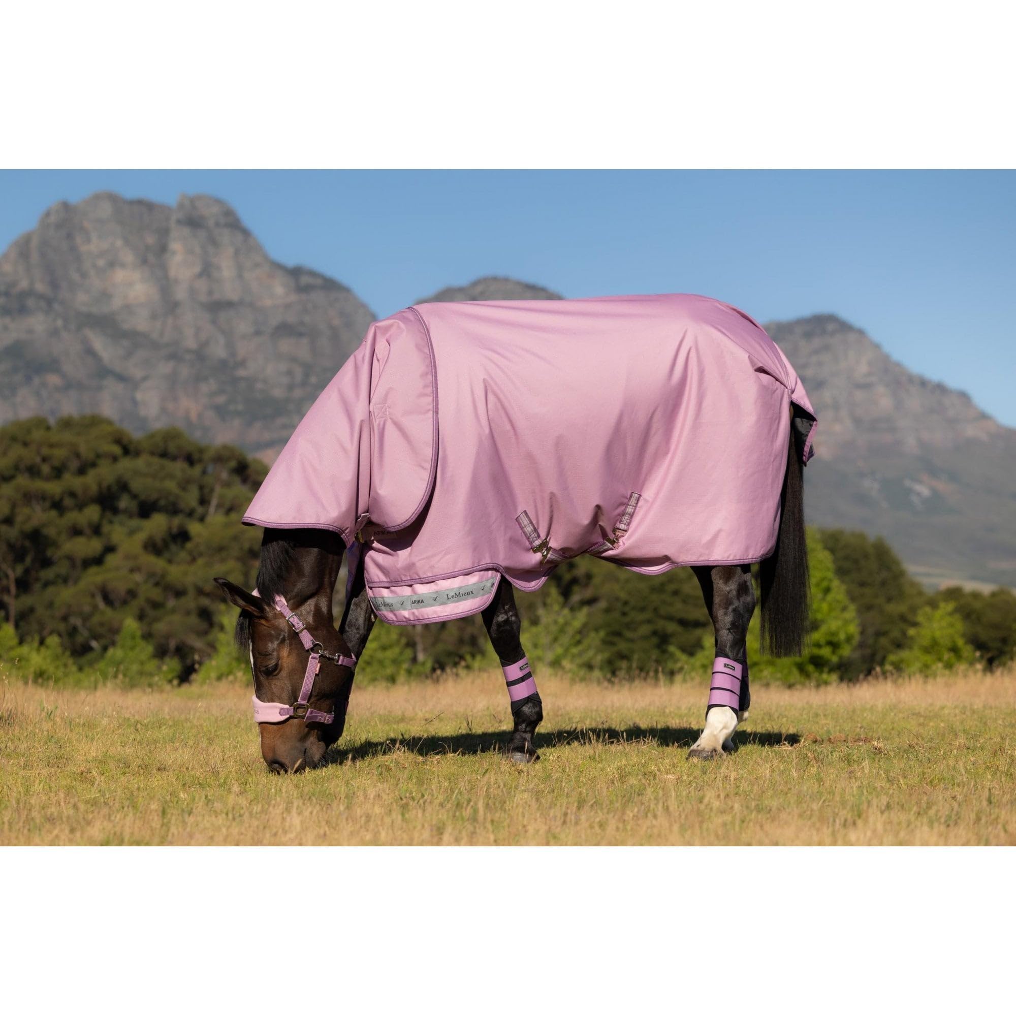 LeMieux Arika Ripstop 0g Pony/Horse Turnout Rug - Fondant